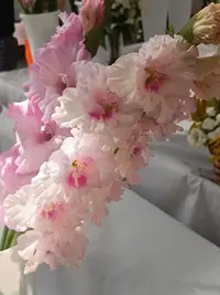 20250815122917.webp