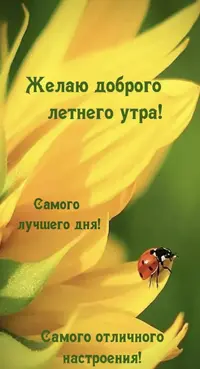 IMG_4839.webp