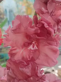 20250815123047.webp