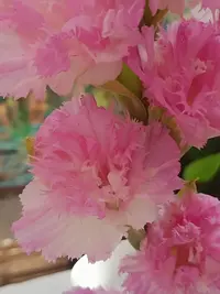20250815123103.webp