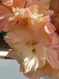 20250815123145.webp