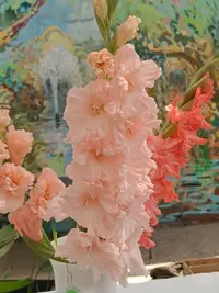 20250815123056.webp