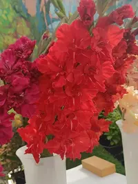 20250815123137.webp