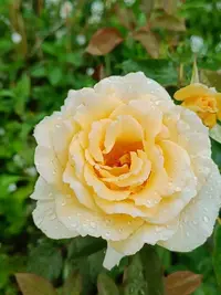 20250811124349.webp