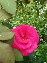 20250811124539.webp