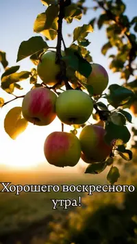 1b830710ff4f99c6316342f72289e28a.webp