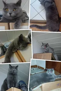 IMG_20150120_095537-COLLAGE.webp