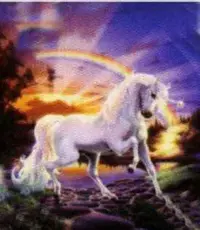 UNICORN14.webp