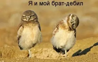 1631530.webp