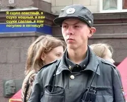 7680374.webp