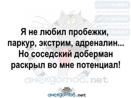 VK_Saved_Photo_ 636189144744549581.webp