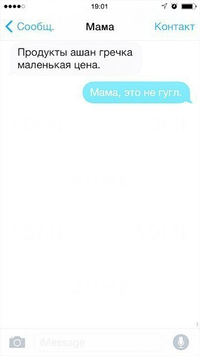 VK_Saved_Photo_ 635973789030909198.webp