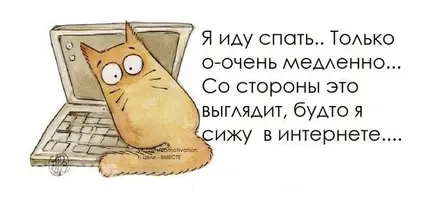 image(7).webp