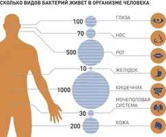image(6).webp