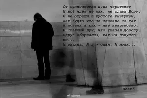 44088307_1242912151_a587cd8d9977.webp