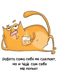 image(13).webp