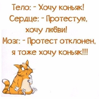 VK_Saved_Photo_ 636186404083807982.webp
