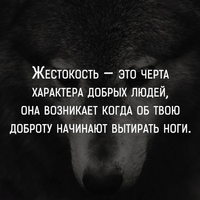 VK_Saved_Photo_ 636212115784470410.webp