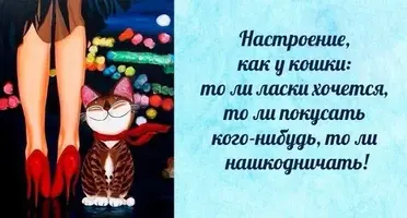 H_41gDOWzf1JXJa18_500.webp