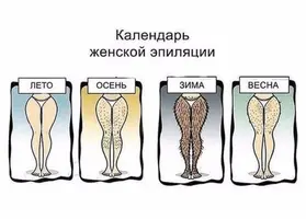 image(6).webp