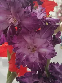 20250815123244.webp