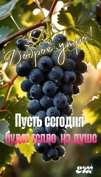 7aa456158f1aff1a208500d9dd6dbb21.webp