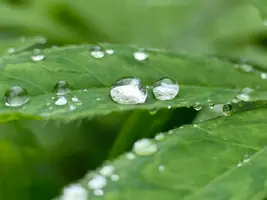 5287489218714663740.webp