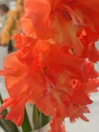 20250815123420.webp