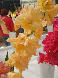 20250815123353.webp