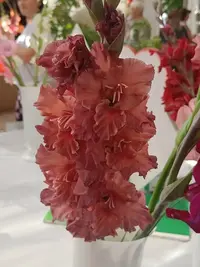 20250815123429.webp