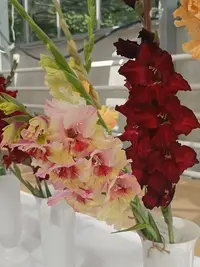 20250815123640.webp