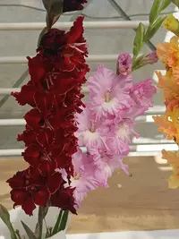20250815123653.webp