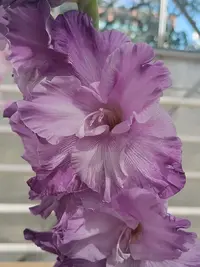 20250815123738.webp