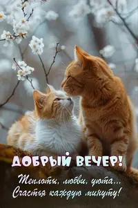 826_100847_124.webp