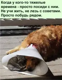 1000025789.webp