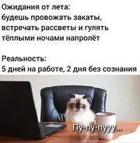 5gakwvlu.webp