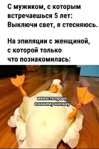 Screenshot_2025-08-28-08-21-40-21_68e74cc0265513bba3f4cf8e2c9891fe.webp
