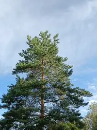 20250828083204.webp