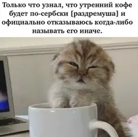 IMG_5049.webp