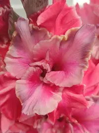20250815123848.webp