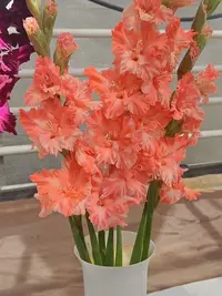 20250815123918.webp