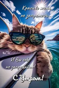 817_151408_303.webp