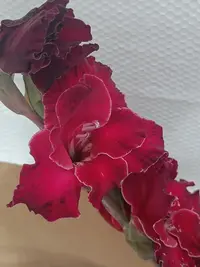 20250815124237.webp