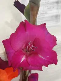 20250815124247.webp