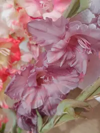 20250815124325.webp