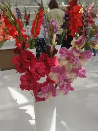 20250815124316.webp