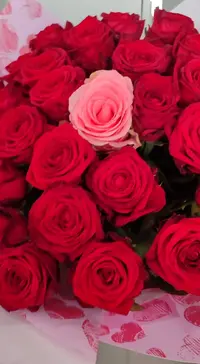 IMG_20250830_120201.webp