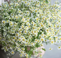 IMG_5149.webp