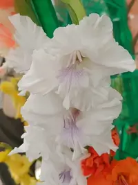 20250815124622.webp