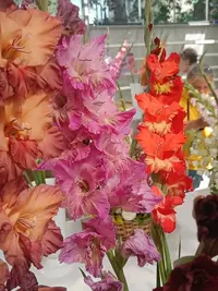 20250815124454.webp